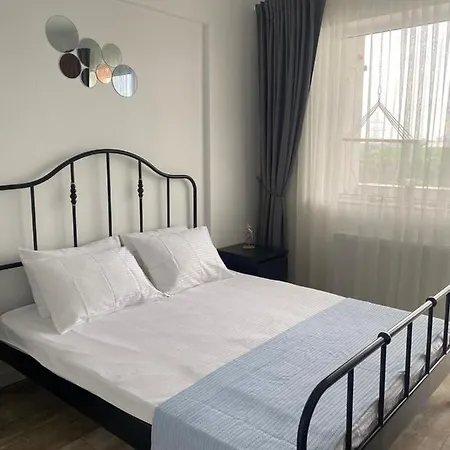 Bavaro 60 Veselie